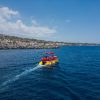 Boat Tour - immagine 6