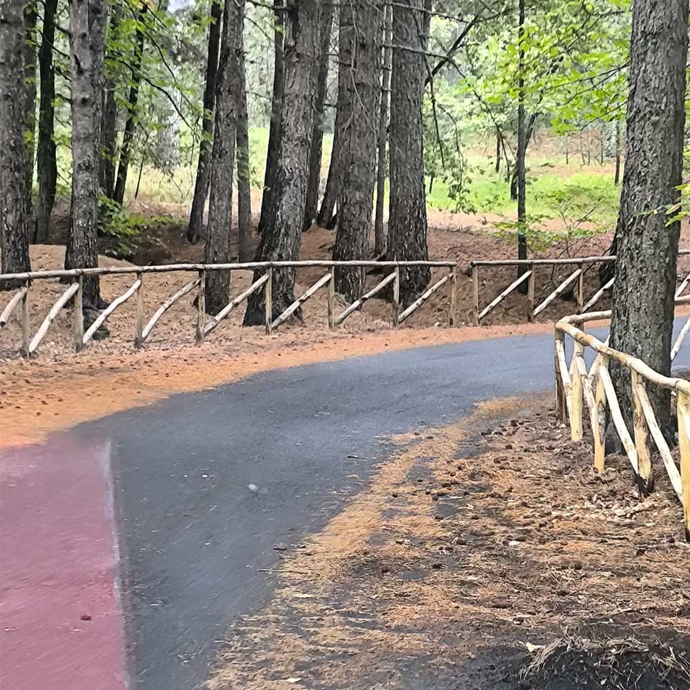 Tour 4X4 - immagine 2